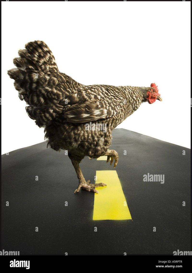 Spain - jugar chicken road Spain - jugar chicken road